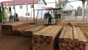 Scierie Mobile Ecopro Salon International Entreprise Pme Partenariat Yaounde Cameroun 2019 10